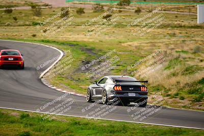 media/Feb-25-2024-Speed Ventures (Sun) [[b9a2a97a4d]]/Mustang Drivers Club/Session 1 (Turns 4 and 5)/